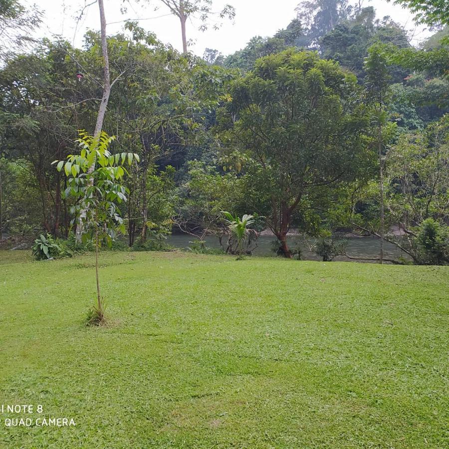 Green Forest Tangkahan מראה חיצוני תמונה