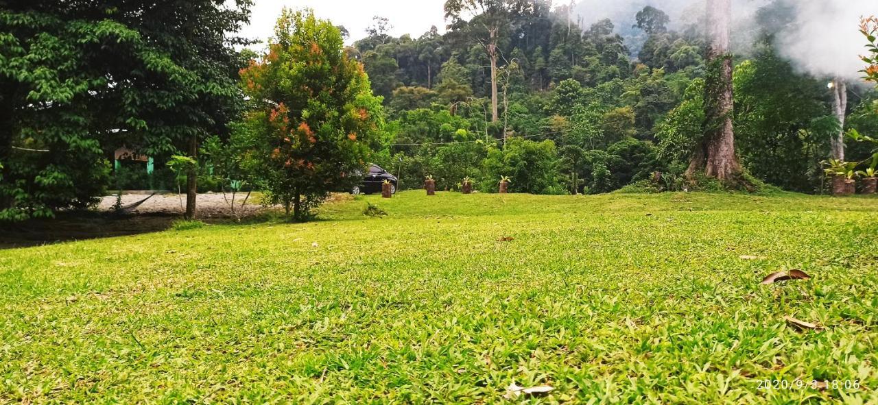 Green Forest Tangkahan מראה חיצוני תמונה