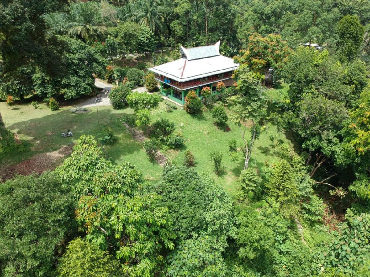 Green Forest Tangkahan מראה חיצוני תמונה