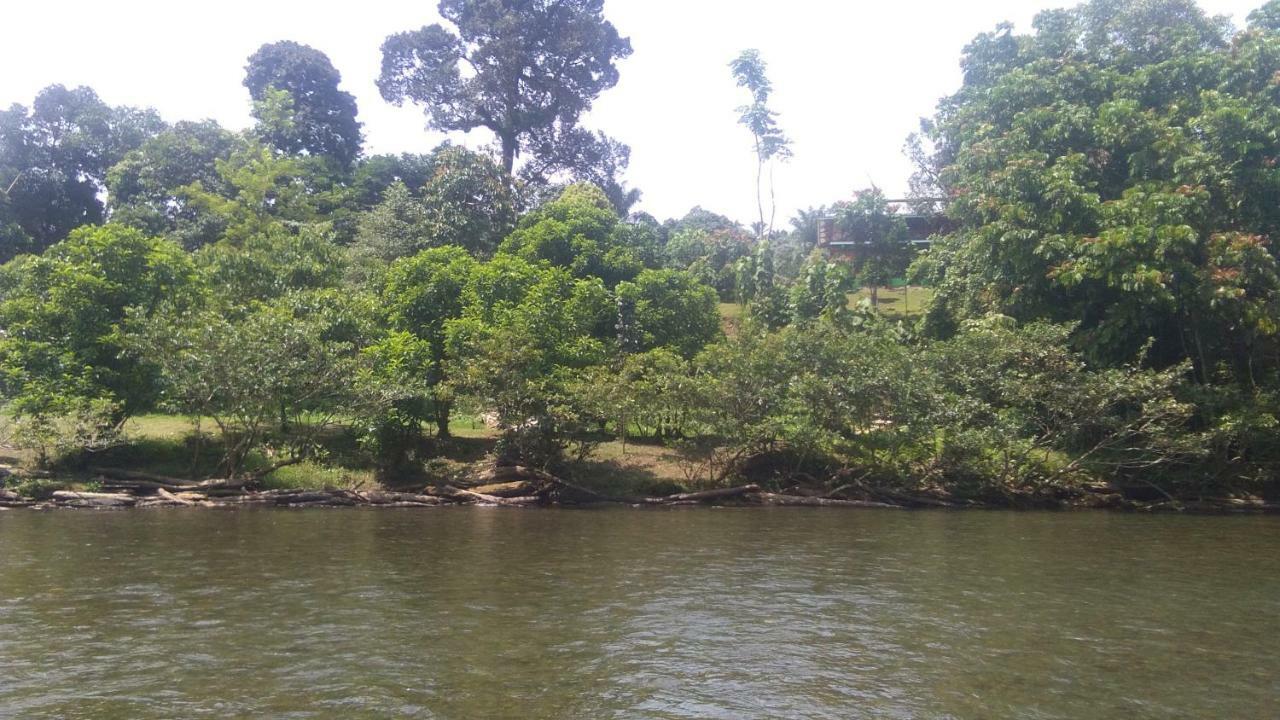 Green Forest Tangkahan מראה חיצוני תמונה