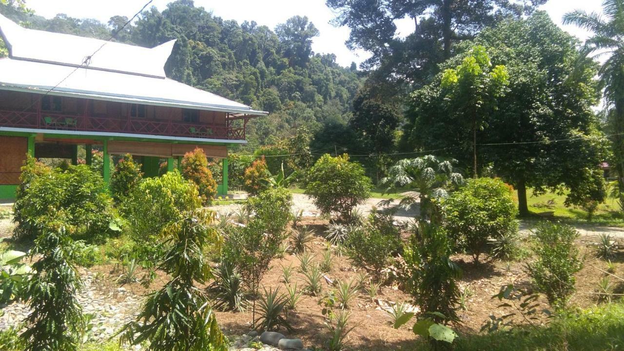 Green Forest Tangkahan מראה חיצוני תמונה