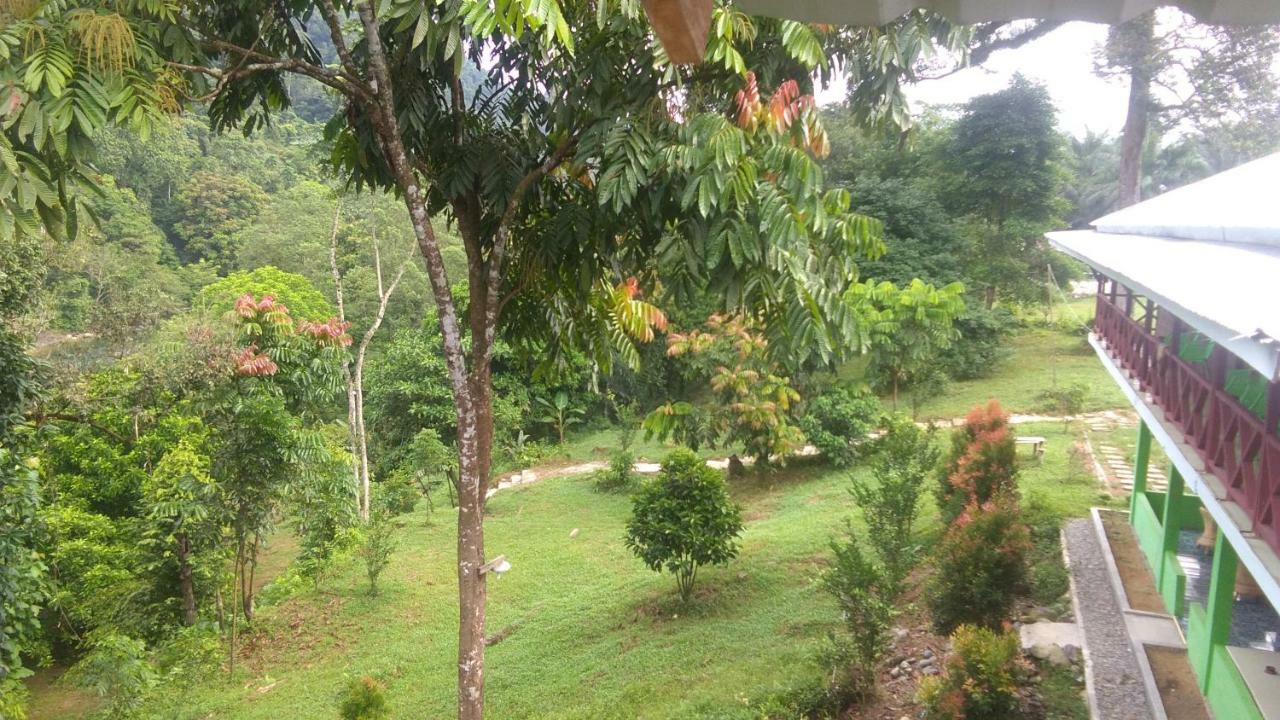 Green Forest Tangkahan מראה חיצוני תמונה
