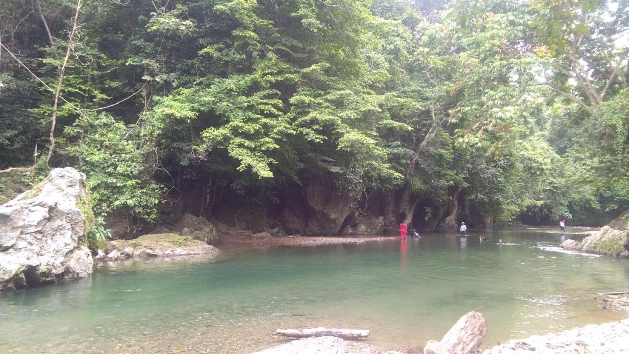 Green Forest Tangkahan מראה חיצוני תמונה