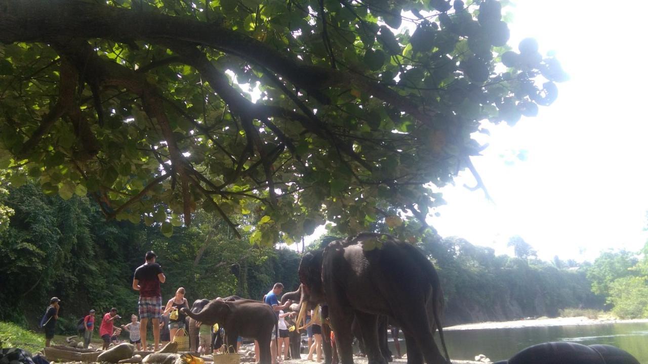 Green Forest Tangkahan מראה חיצוני תמונה