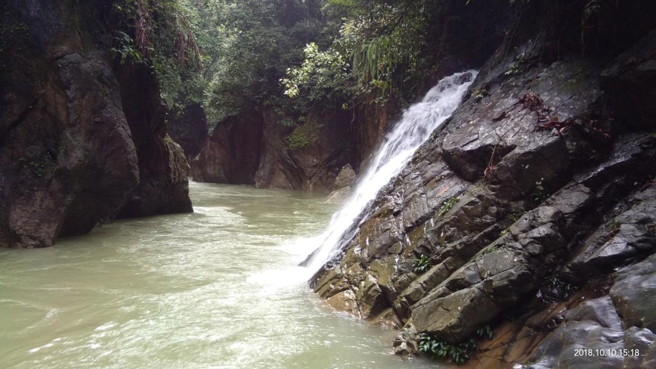 Green Forest Tangkahan מראה חיצוני תמונה